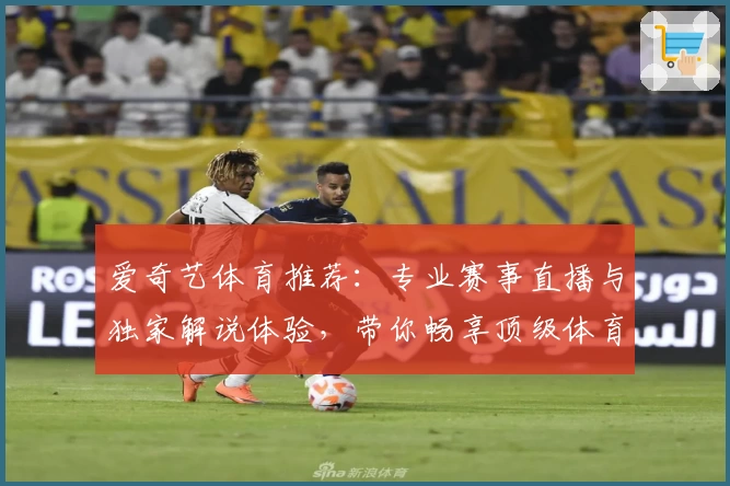 爱奇艺体育推荐：专业赛事直播与独家解说体验，带你畅享顶级体育盛宴