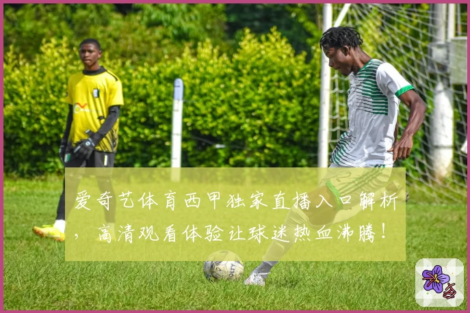 爱奇艺体育西甲独家直播入口解析，高清观看体验让球迷热血沸腾！